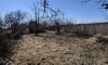 IMG_20190323_145527.jpg