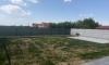 IMG_8585.jpeg